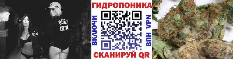 Купить наркотики Куровское Канабис  МЕГА онион  ГАШ  АМФЕТАМИН  МЕФ  Кокаин 