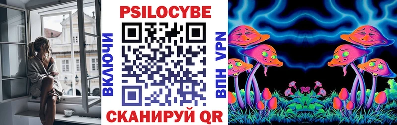 Псилоцибиновые грибы Psilocybe  Куровское 